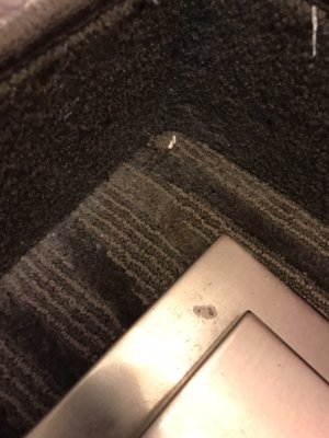 Holiday Inn Express Brentwood South - Franklin by null