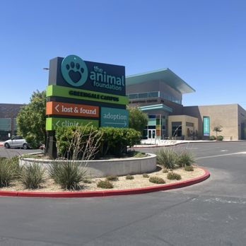 Lied animal shelter las vegas christmas