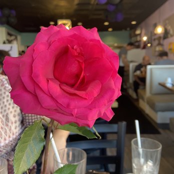 Honeybear Cafe - Breakfast & Brunch Near Me - Chicago, Illinois