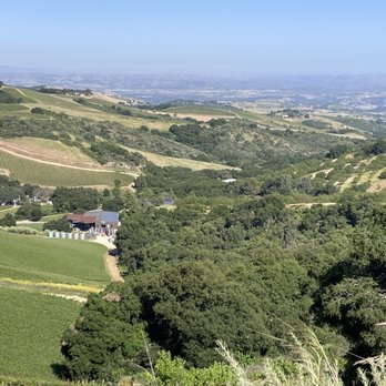 DAOU Vineyards - Wineries Near Me - Paso Robles, California DAOU Vineyards - Wineries Near Me - Paso Robles, California
