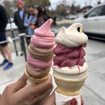 Meadowlark Dairy - Ice Cream & Frozen Yogurt Near Me - Pleasanton, California Meadowlark Dairy - Ice Cream & Frozen Yogurt Near Me - Pleasanton, California