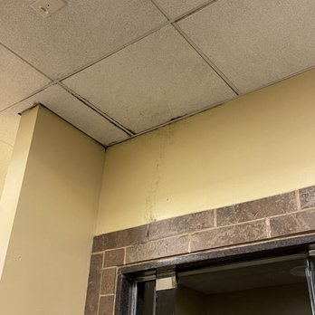 The Training Station - Black mold - Education Near Me - Glen Cove, New York The Training Station - Black mold - Education Near Me - Glen Cove, New York