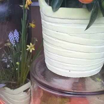 Tanja's Blumenstube - Florists Near Me - Stuttgart, BW