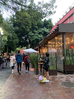 Coyoacán by null