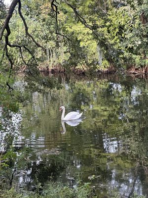 Audubon Park Loop by null