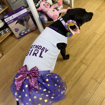 Jack's Snacks: A Dog Bakery - Pet Stores Near Me - Warwick, Rhode Island