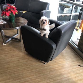 Tuttle-Click Mazda - Service Department - My dog loves coming to Tuttle Click Mazda for its exceptional service and friendly customer service - Auto Repair Near Me - Irvine, California Tuttle-Click Mazda - Service Department - My dog loves coming to Tuttle Click Mazda for its exceptional service and friendly customer service - Auto Repair Near Me - Irvine, California
