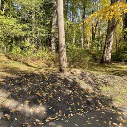 Rodriguez Tree Services