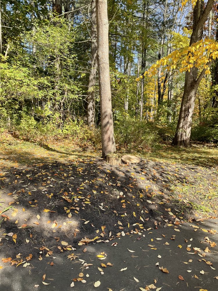 Rodriguez Tree Services - tree service in Portland, ME