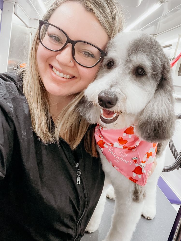 MODERN MOBILE DOG SPA Updated August 2024 25 Photos Waddell