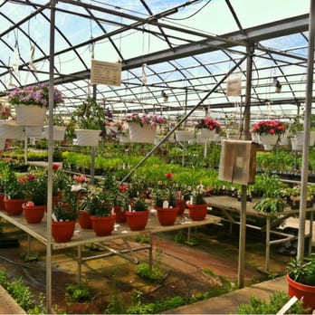 Cox's Plant Farm - Nurseries & Gardening Near Me - Clayton, Indiana Cox's Plant Farm - Nurseries & Gardening Near Me - Clayton, Indiana