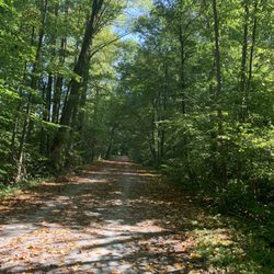 Lebanon Valley Rails to Trails - Almost fall y'all!