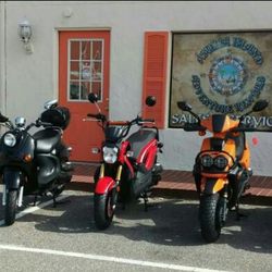Amelia Island Adventure Rentals in Fernandina Beach gift card