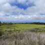 Photo of Hawai’i Volcanoes National Park - Kahuku Unit