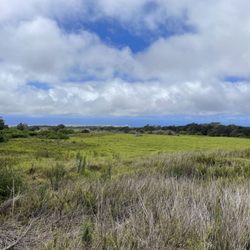 Hawai’i Volcanoes National Park - Kahuku Unit - Views of the ocean from the old pastures