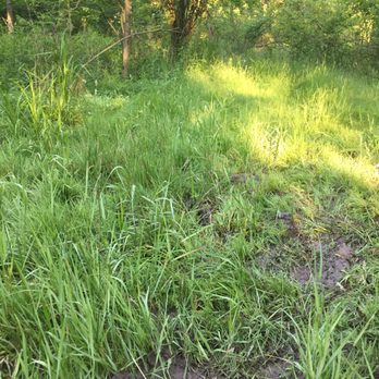 Peace Valley Nature Center - Hoping they will finish mowing! - Education Near Me - Doylestown, Pennsylvania Peace Valley Nature Center - Hoping they will finish mowing! - Education Near Me - Doylestown, Pennsylvania