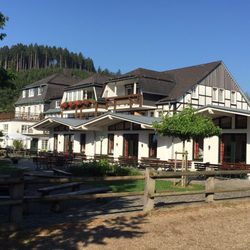 Ponyhof Meier - Im Wochenendpakete sind neben Vollpension auch zwei Ponywanderungen am Samstag und Sonntag beinhaltet. Reitunterricht ist möglich.