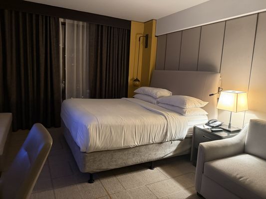 Sheraton Park Hotel at the Anaheim Resort by null