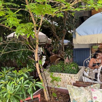 Little Hen - Seems to be nice patio - Breakfast & Brunch Near Me - Miami, Florida Little Hen - Seems to be nice patio - Breakfast & Brunch Near Me - Miami, Florida