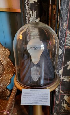 Villa Zorayda Museum by null