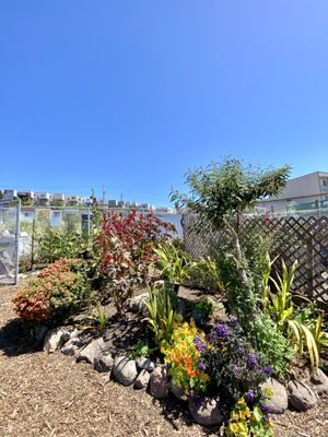 Florence Fang Community Farm by null