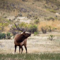 Jackson Hole Real Estate Company