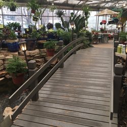 Lafayette Florist - Koi pond