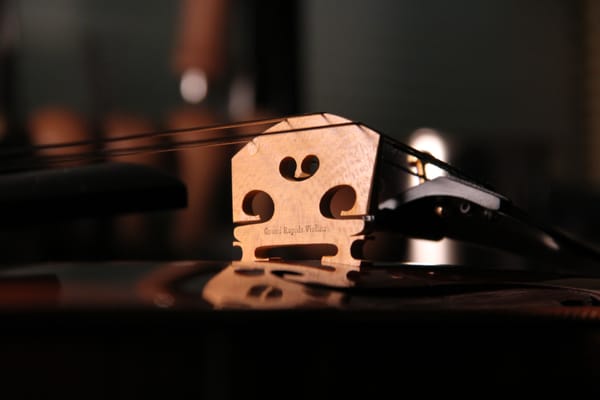 Grand Rapids Violins
