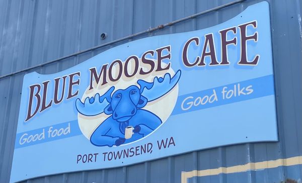 Blue Moose Cafe by null