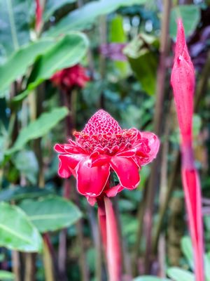 Garden of Eden Arboretum by null
