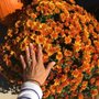 Photo of Fleek Fruit Market