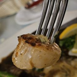 Coach & Four - The scallops were so tender, savory, and delicious.
