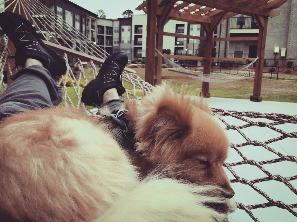 THE REY APARTMENTS 3360 Steve Reynolds Blvd, Duluth,