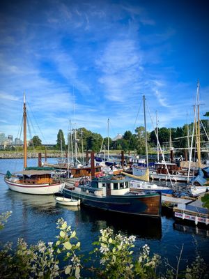 Vanier Park by null