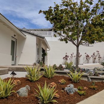 Beaudry Garden Design - a white house with a tree in the front yard - Landscaping Near Me - La Mesa, California Beaudry Garden Design - a white house with a tree in the front yard - Landscaping Near Me - La Mesa, California