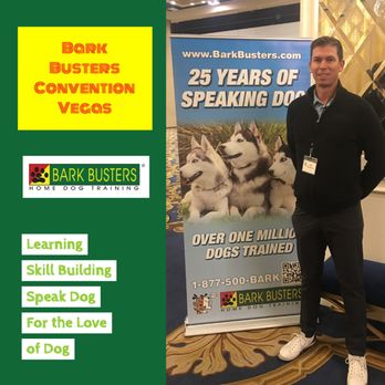 bark busters near me