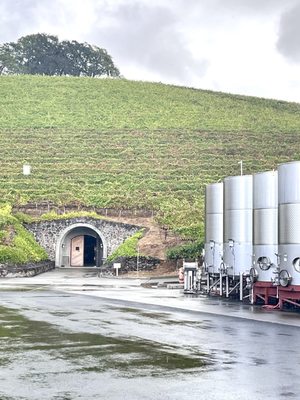 Kunde Family Winery by null