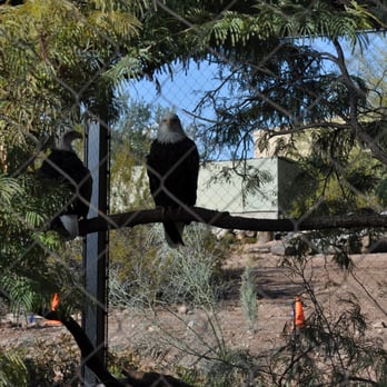 Phoenix Zoo - mURICA - Zoos Near Me - Phoenix, Arizona