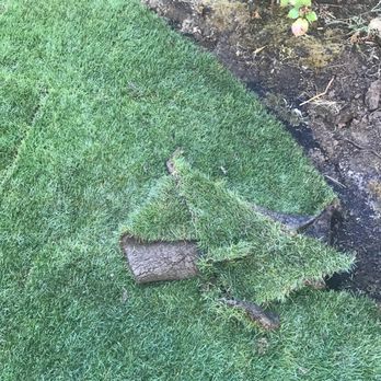 K&C Landscape - They left scraps of sod ON our brand new fresh sod - Irrigation Near Me K&C Landscape - They left scraps of sod ON our brand new fresh sod - Irrigation Near Me