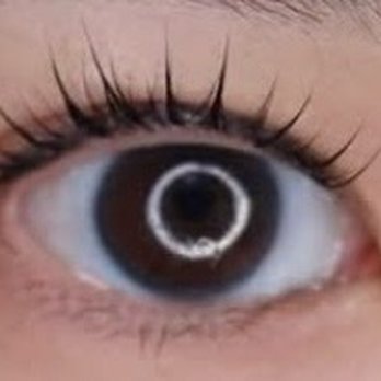 Daisy and Peony Beauty Studio - Eyelash Service Near Me - Fairfax, Virginia Daisy and Peony Beauty Studio - Eyelash Service Near Me - Fairfax, Virginia