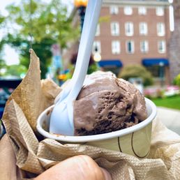 Chocolate Peanut Butter Ice Cream