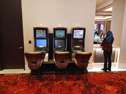 Seminole Hard Rock Hotel & Casino Tampa by null