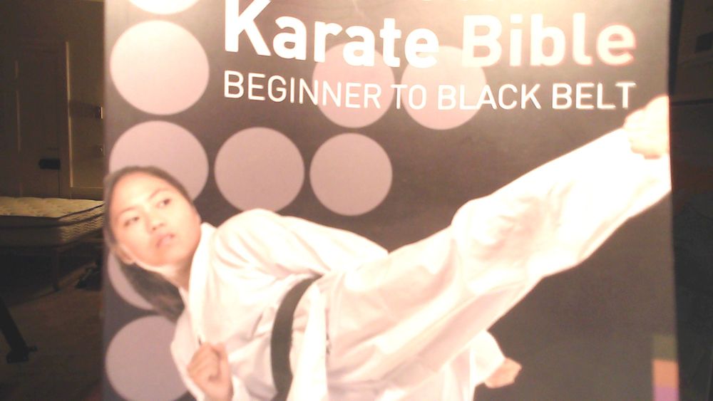 Maine Traditional Karate and Fitness Logo