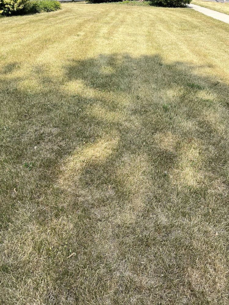 DANNY’S LAWN CARE SERVICE Updated September 2024 18 Reviews