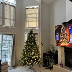 Lakeshore Rentals - Amazingly cozy homes