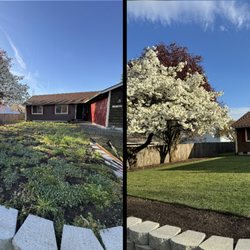 L&A Landscaping - Sod Installation