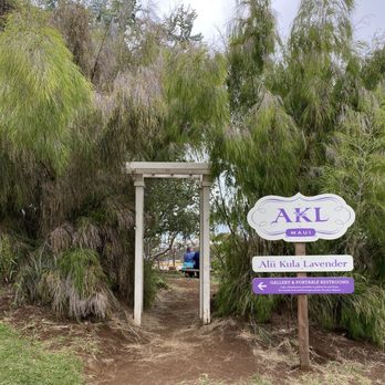 Ali'i Kula Lavender - Tours Near Me - Kula, Hawaii Ali'i Kula Lavender - Tours Near Me - Kula, Hawaii