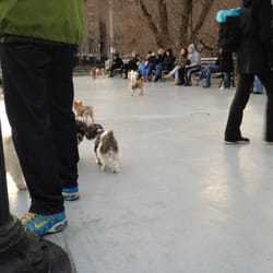 Carl Schurz Dog Run - Nice spacious area for puppies to run around and play