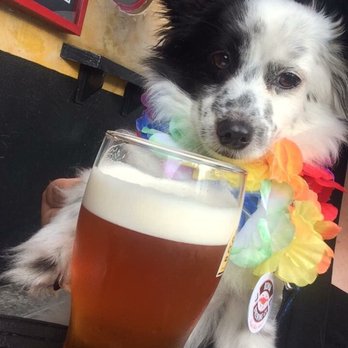 Bar One - Pet friendly! - Gastropubs Near Me - San Diego, California Bar One - Pet friendly! - Gastropubs Near Me - San Diego, California