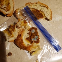 La Chicanita Bakery - Mold on foo